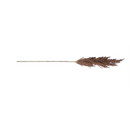 Coco Maison Pampas Grass Spray H115cm Bruin